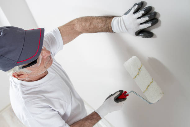 Best Forensic Mold Investigation  in Barrington, IL