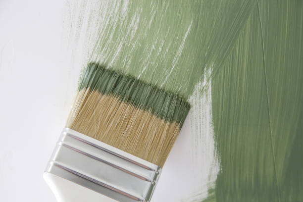 Best Water Damage & Mold Remediation  in Barrington, IL