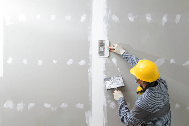 Trusted Barrington, IL Mold Removal Experts