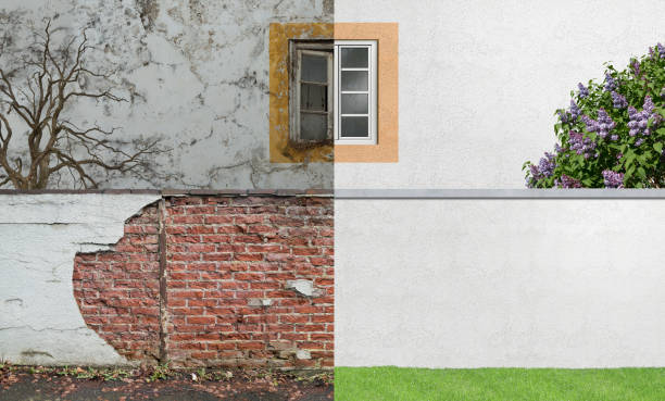 Best Comprehensive Air Testing for Mold Contaminants  in Barrington, IL