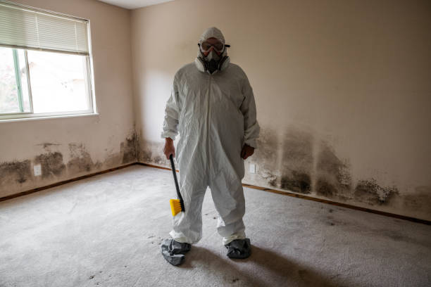 Mold Documentation for Insurance Claims in Barrington, IL