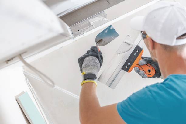  Barrington, IL Mold Removal Pros